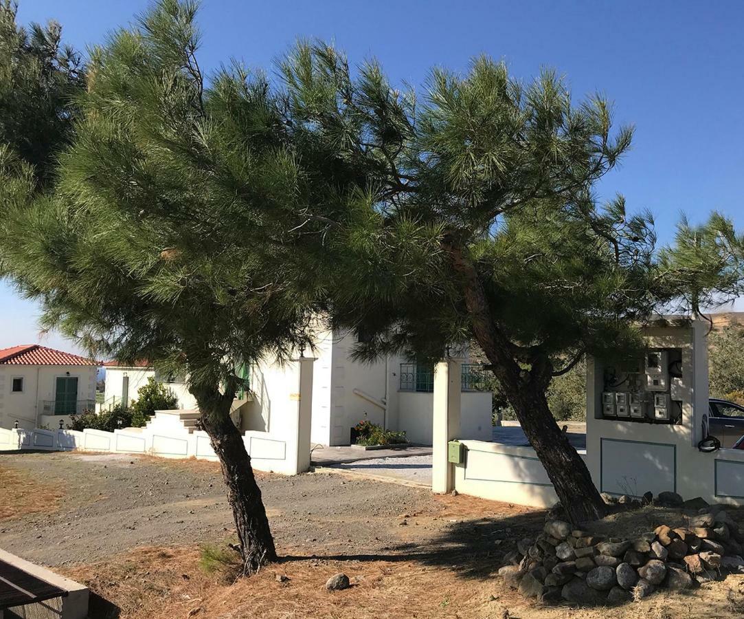 Ampeloessa Village Kornos Luaran gambar